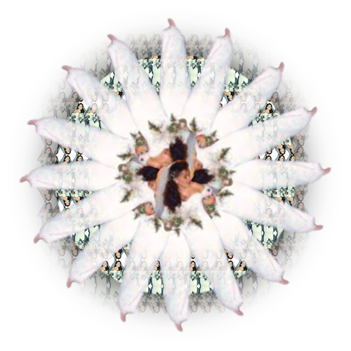 Bride - Mercedes Gertz & Nancy Louise Jones - Nymphas Dissolutio