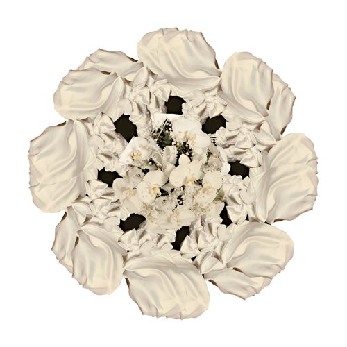 Sleeve - Mercedes Gertz & Nancy Louise Jones - Nymphas Dissolutio