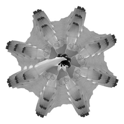 Black Raven - Mercedes Gerts & Nancy Louise Jones - Nymphas Dissolutio