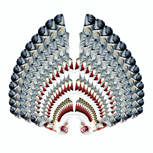 Little Blue Bird - Mercedes Gertz & Nancy Louise Jones - Nymphas Dissolutio