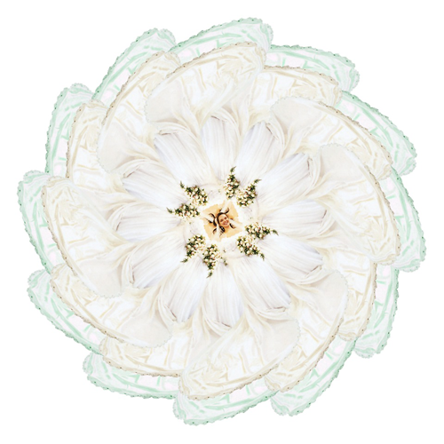 White Mandala - Mercedes Gertz & Nancy Louise Jones - Nymphas Dissolutio